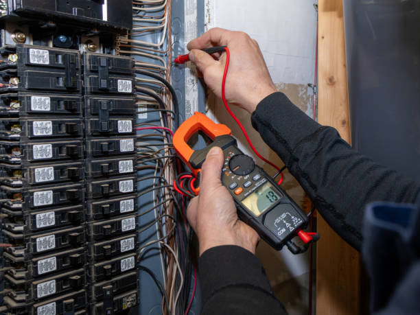 Best Home Electrical Repair  in Kodi, AK